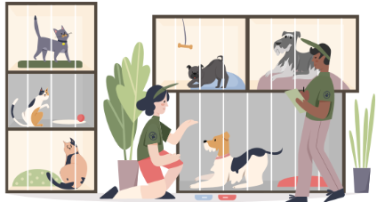 A Lifeline for Pets and People: Inside the Mission of Animal Safehouse Programs