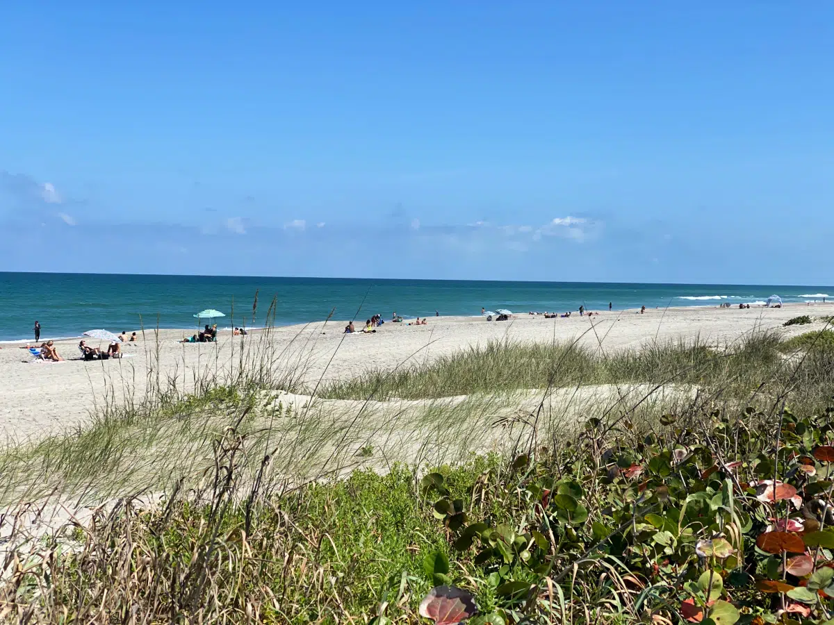 Pristine beaches and natural landscapes: Explore Melbourne’s outdoor charm.