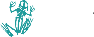 Double Tapp Grill, located next to Frogbones Family Shooting Center, offers a unique blend of dining and shooting experiences.