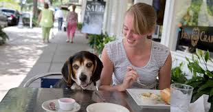“Paws, Claws, and Dining Delights: Melbourne’s Best Pet-Friendly Restaurants