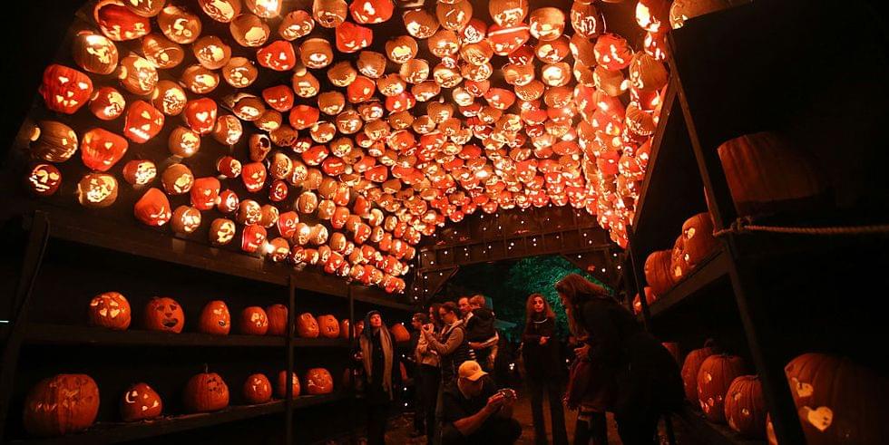 Explore the myriad of fall festivals and events happening in Melbourne, FL.