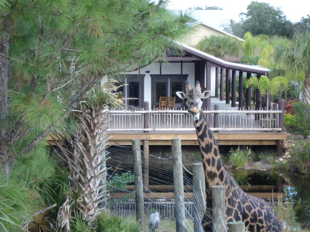 Welcome to Brevard Zoo: A gateway to wildlife adventures and community events.