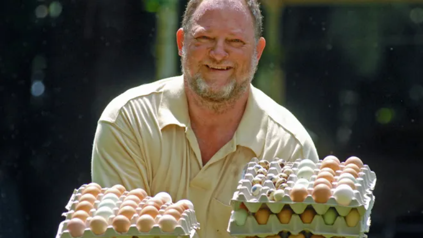 Funky Chicken Farm: Your Go-To for Farm-Fresh Poultry in Melbourne, FL