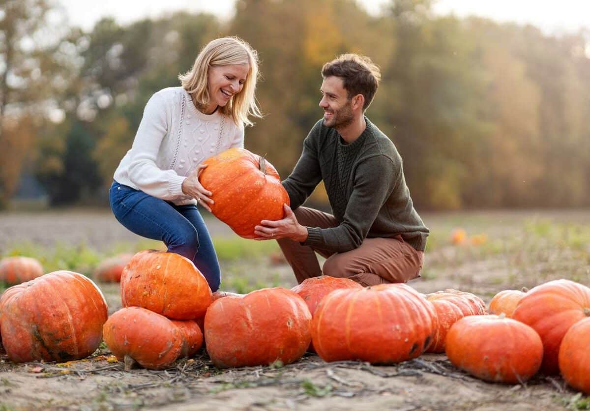 Your Ultimate Guide to Enjoying Fall in Melbourne, Florida: Fun Activities Await!