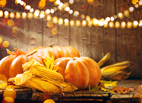 Experience Autumn in Melbourne, FL: Complete Fall Festival Guide