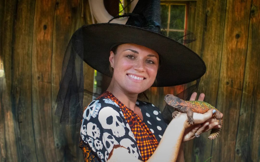 Boo at the Zoo: Family-Friendly Halloween Fun in Melbourne, Florida
