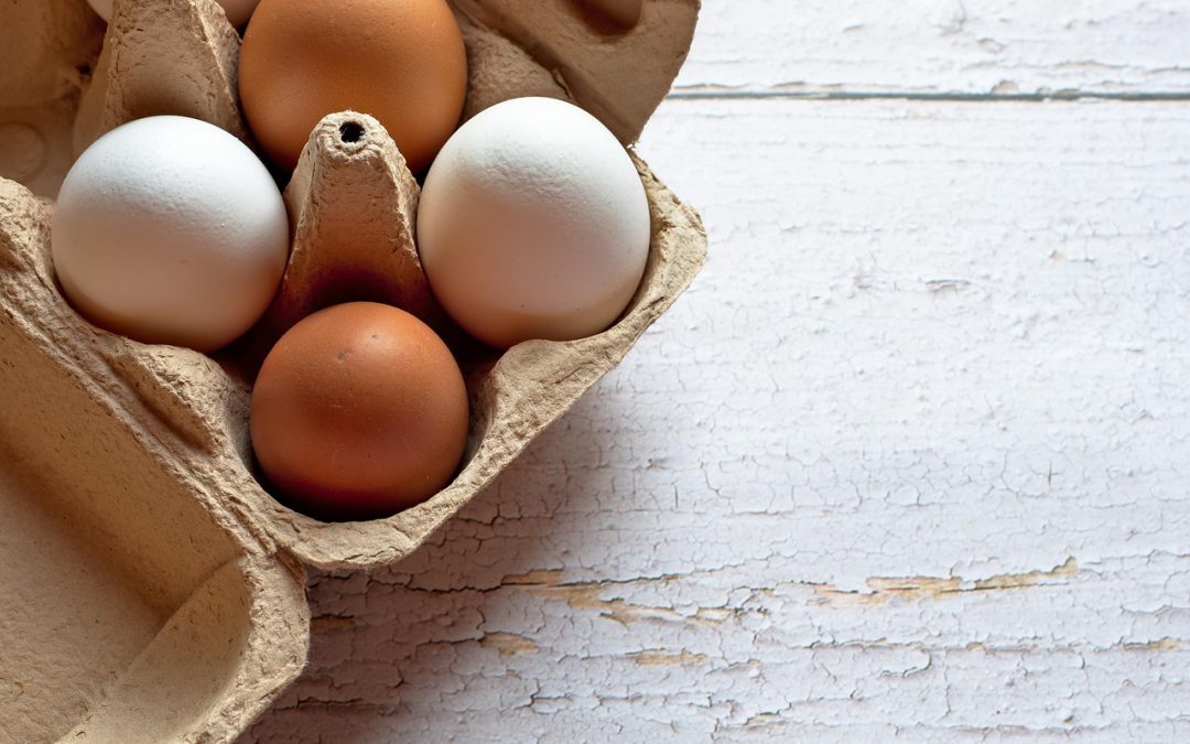 Catering to Melbourne: Eggs Up Grill’s Neighborhood Dining Experience