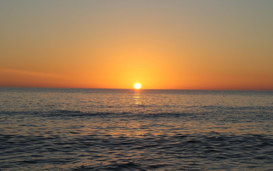 Celebrating Nature: Indian River Lagoon Day Event Details Unveiled