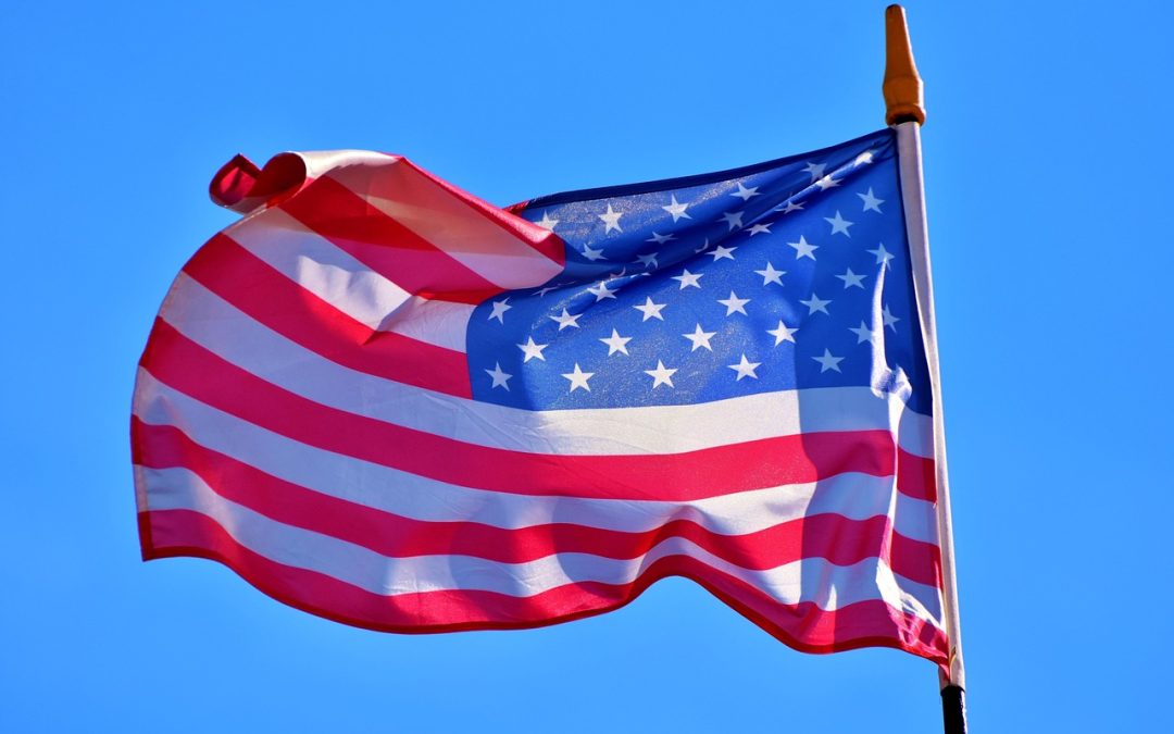 Remembering Our Heroes: The Story of Veterans Day