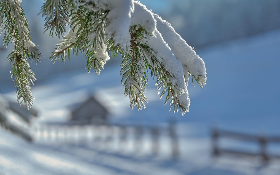 The Frosty Market: Your Winter Home-Buying Guide